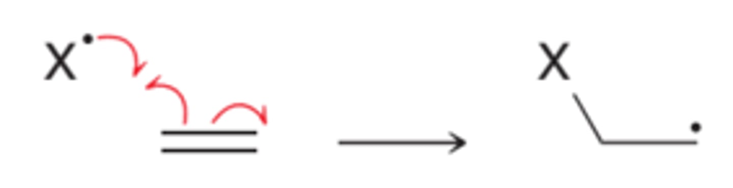 <p>free radical halide forms bond with alkene; produces free radical haloalkane</p>