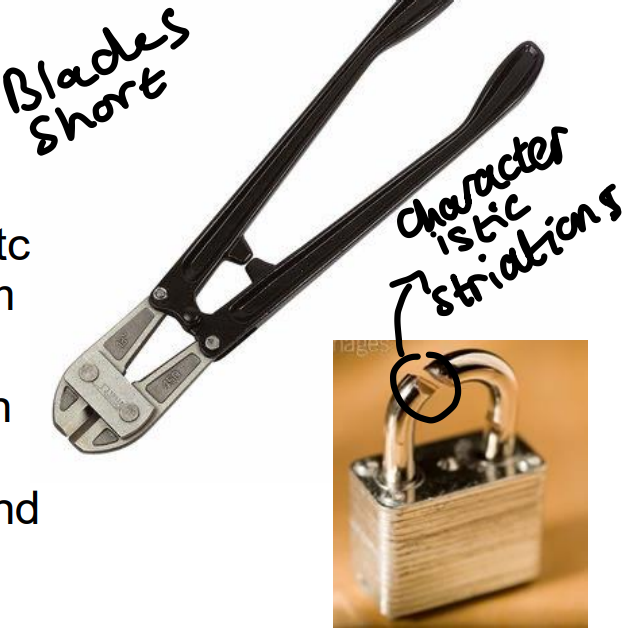 <ul><li><p>Long metal handles (high force at jaws)</p></li><li><p>Steel cutting short blades </p></li><li><p> Blades of croppers suffer damage in use </p></li><li><p> Cut chain, padlocks etc. can be recovered from scene </p></li><li><p> Direct comparison can be made between striations on blades and striations on cut metal (creates characteristic striations)</p></li></ul><p></p>