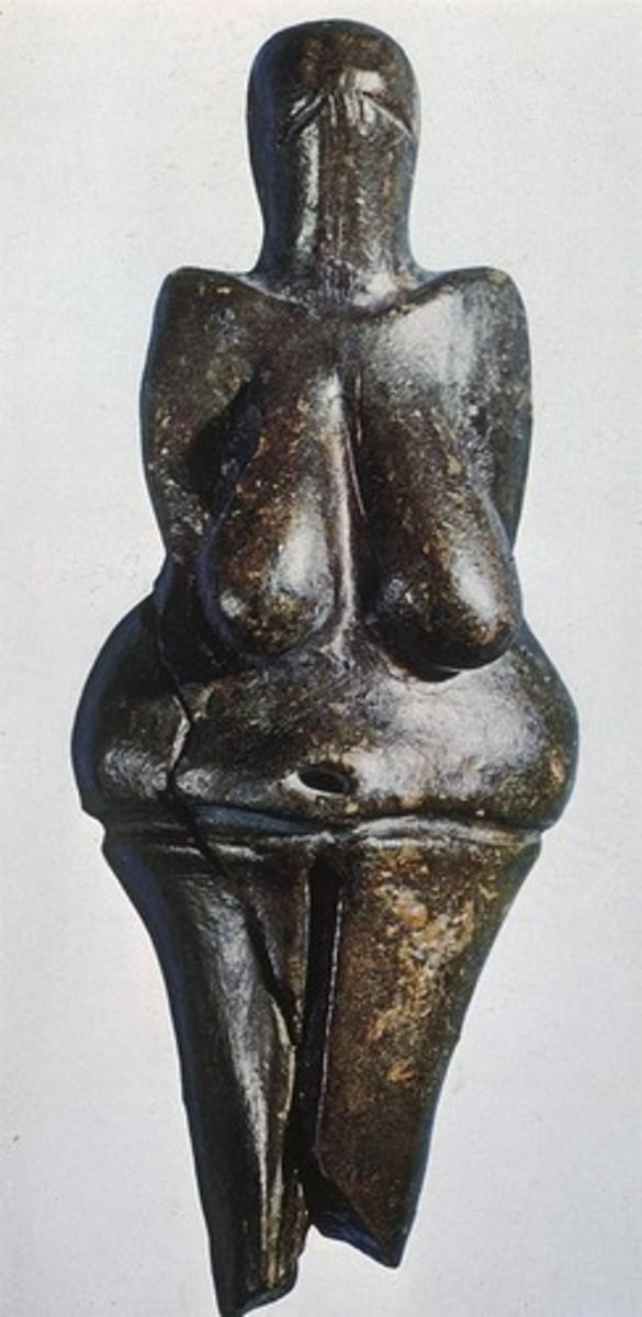 <p>The oldest known ceramic figurine, depicting a statuette of a nude female figure.</p>