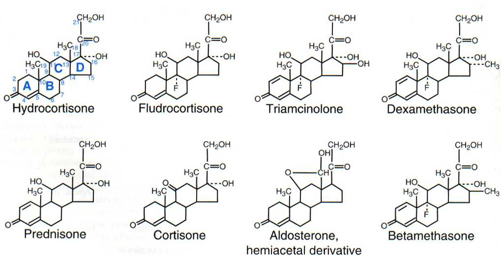 <p>A four carbon ring structure + functional group; some have tails. These are typically the easiest lipid to identify.</p>