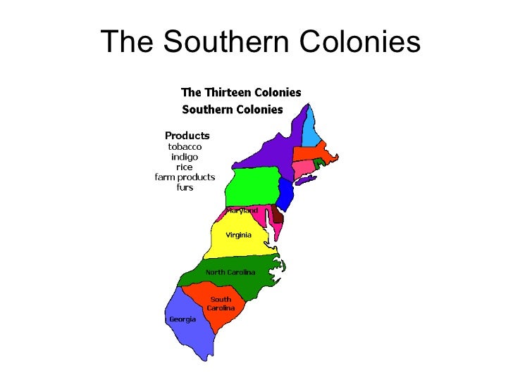 <p>‘Southern Belles’ Colonies</p>