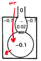 <ul><li><p>Thorax: slightly larger negative</p></li><li><p>Alveoli: medium negative</p></li><li><p>Intra: small negative</p></li><li><p>Extra: 0</p></li></ul><p>Negative pressure gradient from out (0) → in (-0.7)</p>