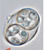 <p><em>Cystoisospora suis</em> only has two sporozoites when it is sporulated, the <em>eimeria</em> we have talked about have four sporozoites</p>