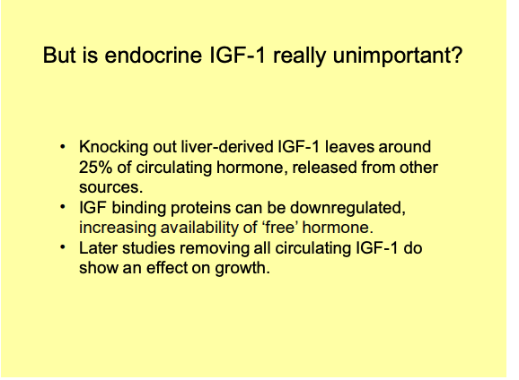 <ul><li><p>there was<strong> still</strong> some IGF-1 circulating in the plasma</p></li><li><p>so, a reduction in IGFBPs might have resulted in<strong> higher effective</strong> IGF-1 levels<strong> than previously believed</strong></p></li></ul><p>→ later studies removing all circulating IGF-1<strong> do show</strong> an effect on growth</p>