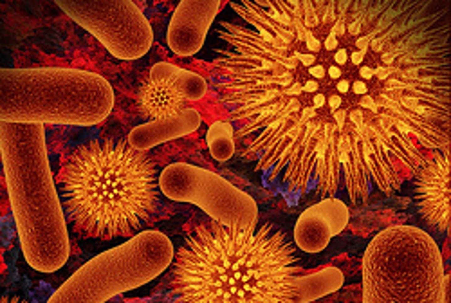 <p>organisms that cause infections</p>