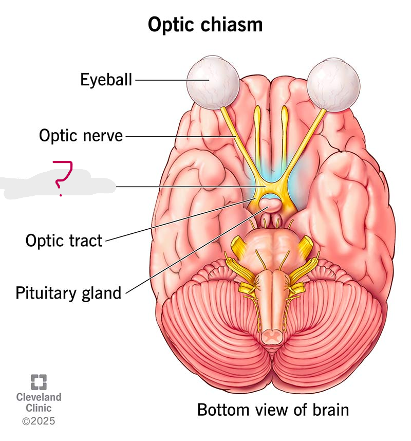 <p>What is this </p>