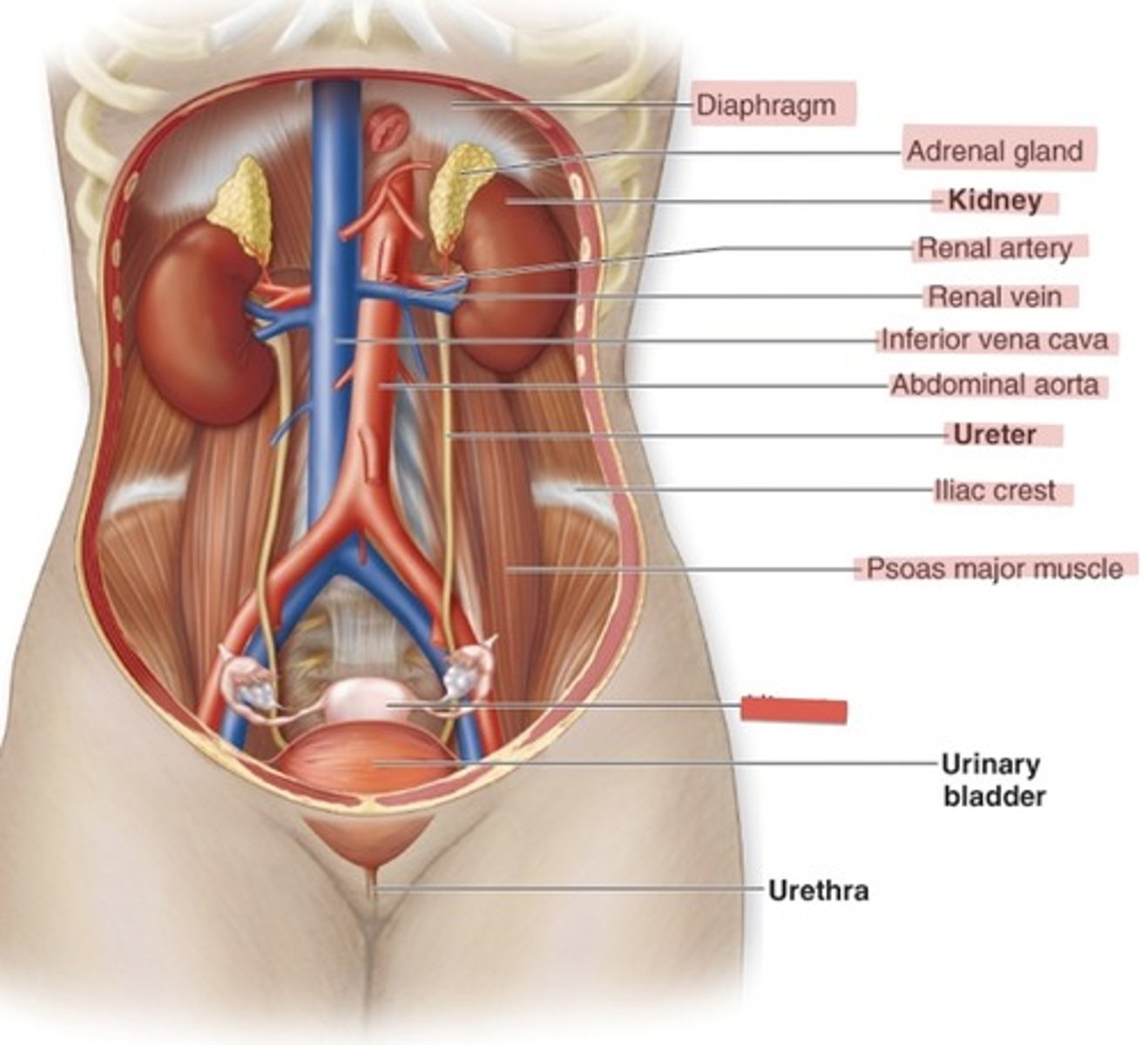 <p>What is this?</p>