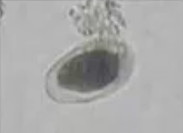 <p>What is this FORM called?</p>