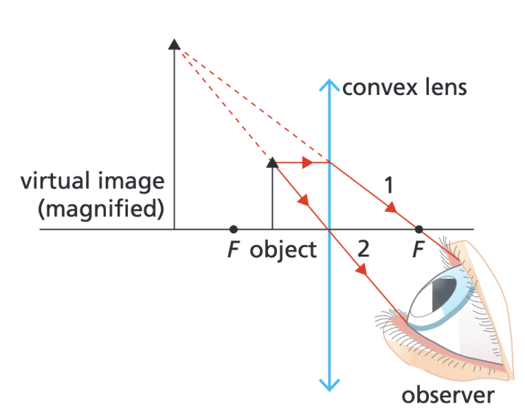 <ul><li><p>Magnified</p></li><li><p>Virtual</p></li><li><p>Upright</p></li></ul><p></p>