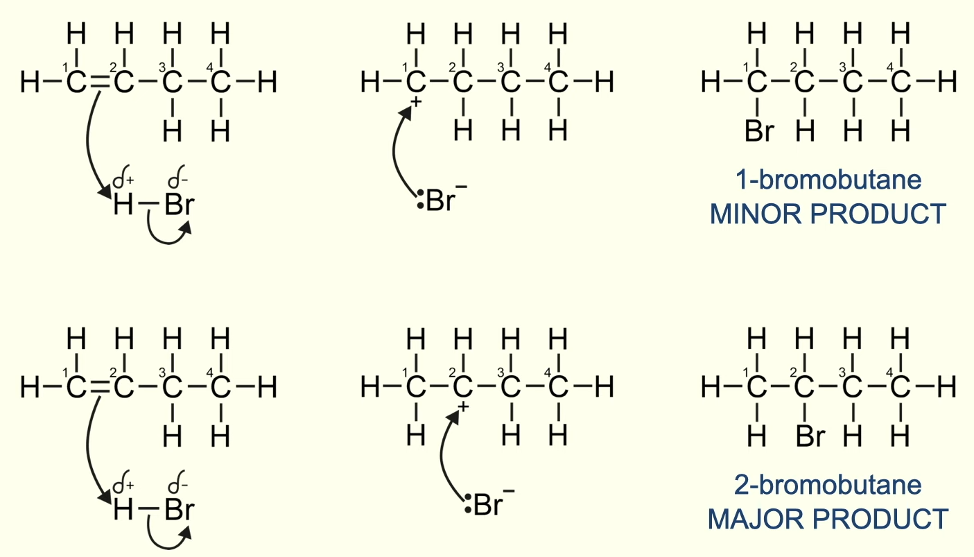 <p>why is 1-bromobutane the minor product and 2-bromobutane the major product?</p>