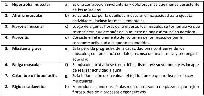 <p>32. Empareje las alteraciones del sistema muscular.</p><p>A) 1c, 2g, 3a, 4f, 5h, 6b, 7d, 8e</p><p>B) 1d, 2b, 3f, 4g, 5a, 6e, 7e, 8c</p><p>C) 1e, 2a, 3g, 4c, 5f, 6h, 7d, 8e</p><p>D) 1d, 2f, 3h, 4g, 5b, 6e, 7a, 8c</p>