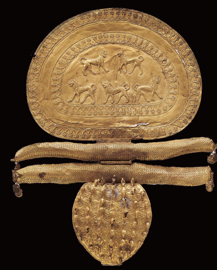 <p><span style="line-height: 115%;">What is the function of this object, called a fibula?</span></p>