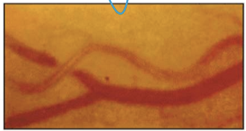 <p>Copper wiring </p>