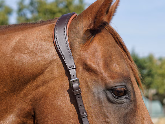 <p><span>The crown piece, also known as the headstall, is a critical part of the bridle that sits directly behind the horse's ears, running across the poll (the highest point on the horse's head between the ears). It connects to the cheek pieces, browband, and throatlatch, holding the bridle securely in place.</span></p>