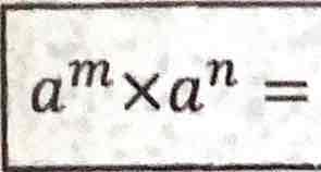 term image