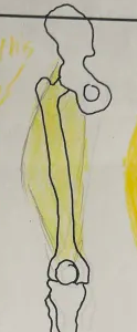 <p></p>