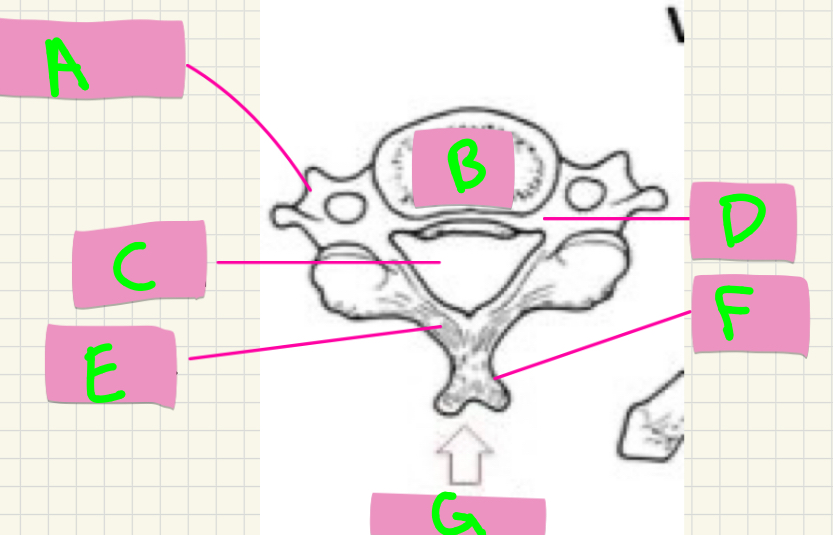 <p>What’s A-D?</p>