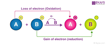 <p><span style="font-family: Arial, sans-serif">transferred to another atom or molecule, which becomes reduced&nbsp;</span></p><p><span style="font-family: Arial, sans-serif">reduction-oxidation reaction or </span><strong><span style="font-family: Arial, sans-serif">redox reaction</span></strong></p>