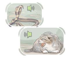 <p><strong>hiss</strong> </p>