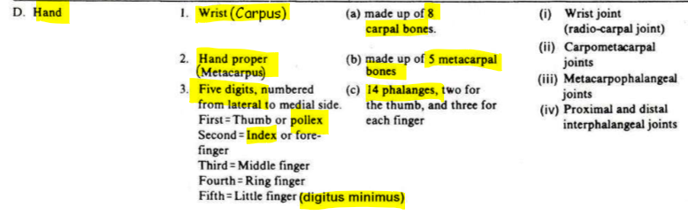 knowt flashcard image
