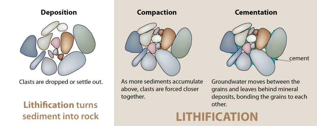 <ul><li><p><strong>Porosity &amp; Permeability</strong> control groundwater and petroleum reservoirs.</p><ul><li><p>Sandstone → High porosity, good reservoirs.</p></li><li><p>Shale → Low permeability, forms cap rocks for oil/gas.</p></li></ul></li><li><p><strong>Bedding planes &amp; lithification</strong> influence large-scale erosion and cliff formation (e.g., Grand Canyon).</p></li><li><p><strong>Chemical sedimentary rocks (limestone, evaporites)</strong> form <strong>karst topography, caves, and sinkholes</strong>.</p></li></ul><p></p>