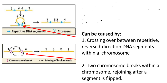 <p>these chromosomes are homologous</p>
