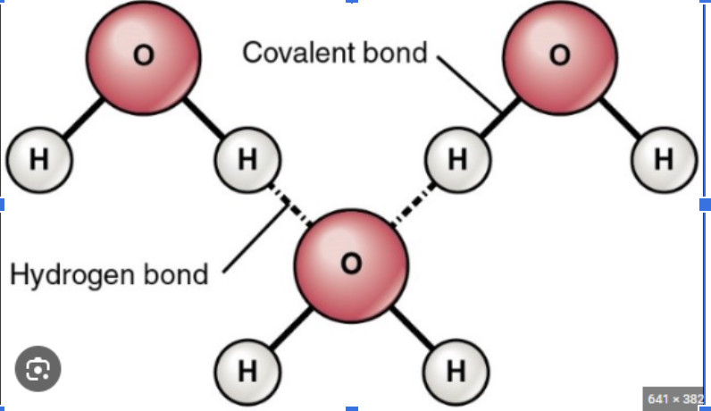 <p>the bond between a hydrogen atom of one water molecule to the oxygen atom of another water molecule</p>