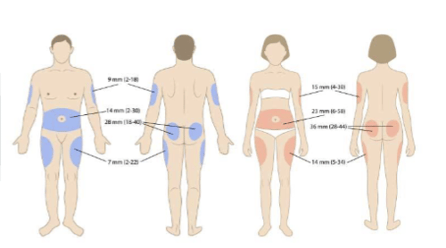 <p>Area between the skin &amp; muscle layer</p><p>- abdomen, buttock,thigh and back of upper arm</p>