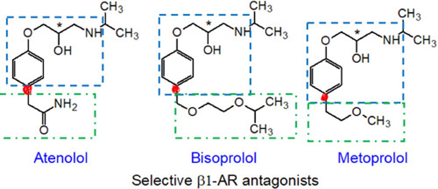 <p>Bisoprolol</p><p>Indication: Hypertension</p><p>Classification: Beta 1 Blocker;</p>