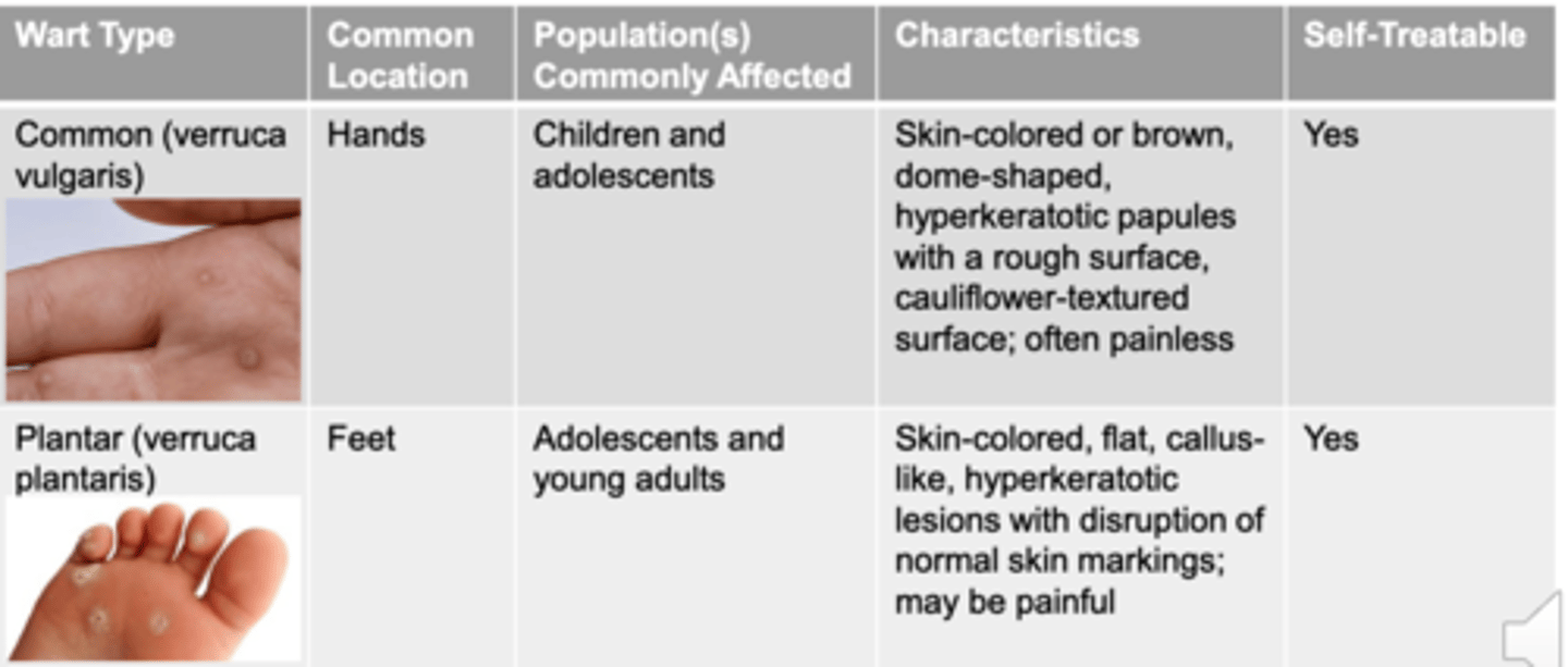 <p>1. Skin-colored or brown</p><p>2. Dome-shaped</p><p>3. Hyperkeratotic papules w/ rough surface</p><p>4. *Cauliflower* textured</p><p>5. Often painless</p>