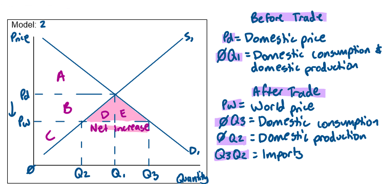 <p><strong>Definition of Imports: </strong>Imports (pmvs, technology, telecommunications equipment) are the purchase of foreign goods &amp; services produced overseas.</p><p>Imports refer to the purchase of foreign goods &amp; services produced overseas for example PMVs. As seen in model 2 before trade equilibrium price is Pd (domestic price) &amp; equilibrium quantity is Q1. Domestic production &amp; consumption is at Q1. </p><p>Through trade, consumers can access a wider variety of products at cheaper prices therefore prices decrease from Pd to Pw (world price). Domestic consumption increases from Q1 to Q3 &amp; domestic production decreases from Q1 to Q2. There is now a shortage which is cleared through importin from overseas (Q3-Q2). Producer surplus decreases from BC to C &amp; consumer surplus increases from A to ABDE. The net gain in total surplus is DE increasing total surplus from ABC to ABCDE. Since the gain in consumer surplus is greater than the loss in producer surplus, the Australian economy gains &amp; economic welfare increases.</p>