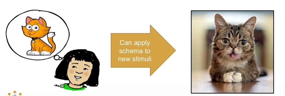 <p>Existing schema is used in new situation.</p>