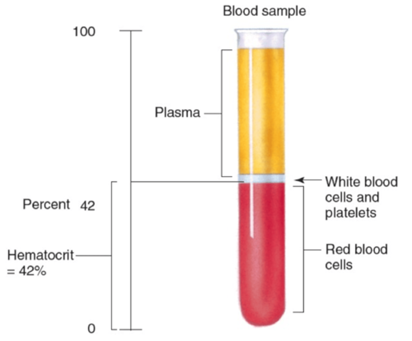 <p>The percent of the volume of whole blood that is composed of red blood cells as determined by separation of red blood cells from the plasma usually by centrifugation.</p>