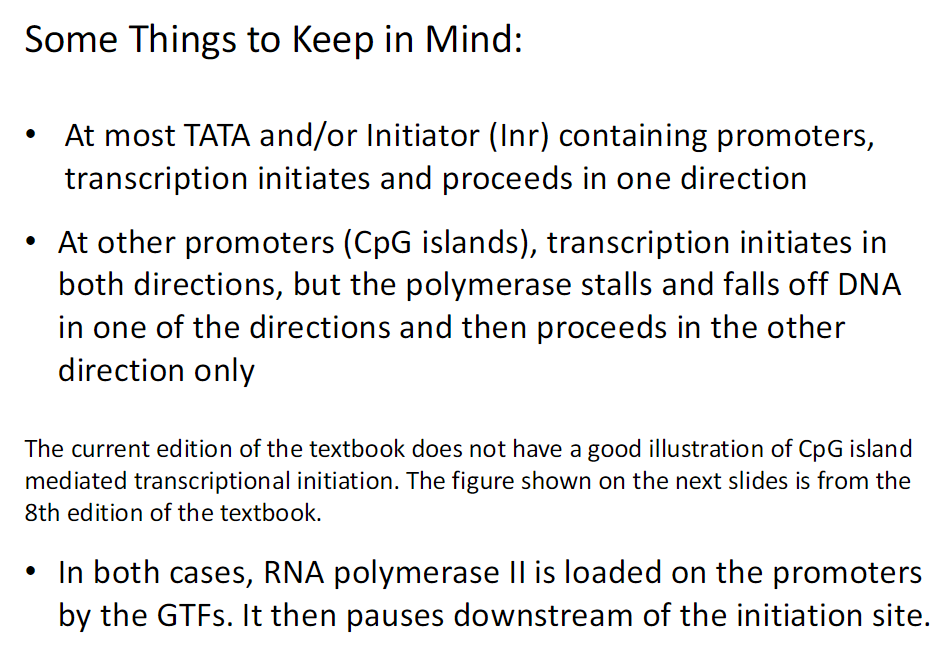 <p><strong>Some Things to Keep in Mind</strong><br> At most TATA and or Initiator Inr containing promoters<br>  Transcription initiates and proceeds in one direction</p><p> At CpG island promoters<br>  Transcription initiates in both directions<br>  Polymerase stalls and falls off in one direction<br>  Transcription proceeds in the other direction only</p><p><strong>Textbook Note</strong><br> Current textbook has no good CpG island initiation figure<br> Figure shown is from the 8th edition</p><p><strong>RNA Polymerase II</strong><br> Loaded onto promoters by GTFs<br> Pauses downstream of the initiation site</p>