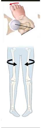 <p>name this femoral movement</p>
