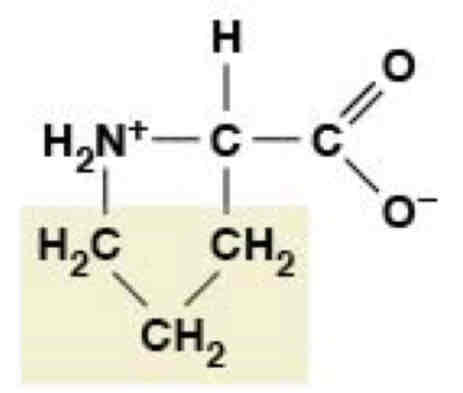 <p>Nonpolar (Hydrophobic)</p>