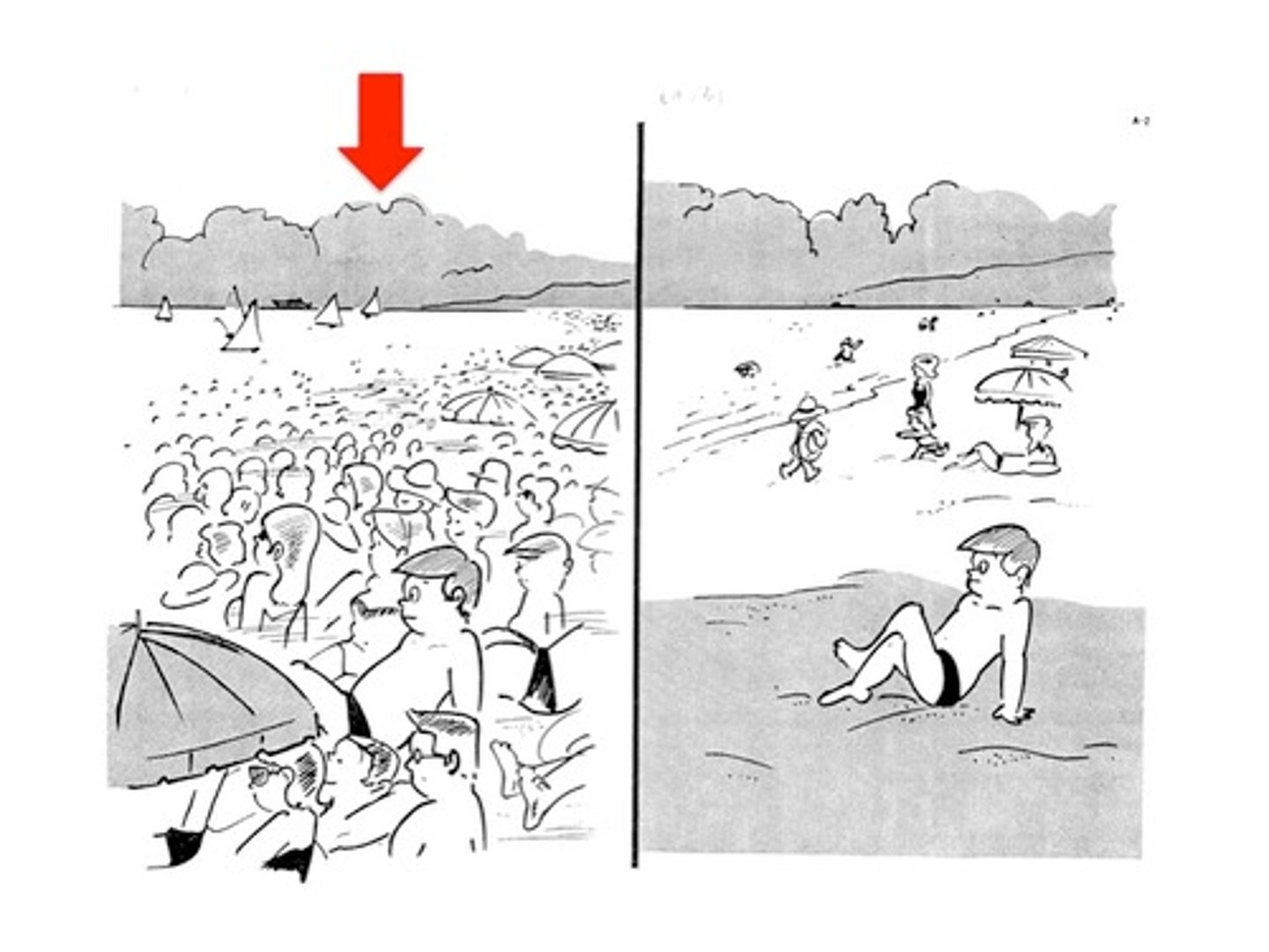 <p>there are many</p>