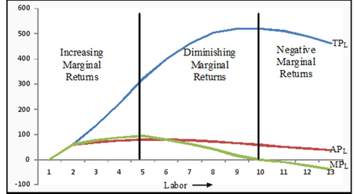 <p>The principle that as more units of a variable resource are added to a fixed resource, the additional output produced will eventually decrease.</p>