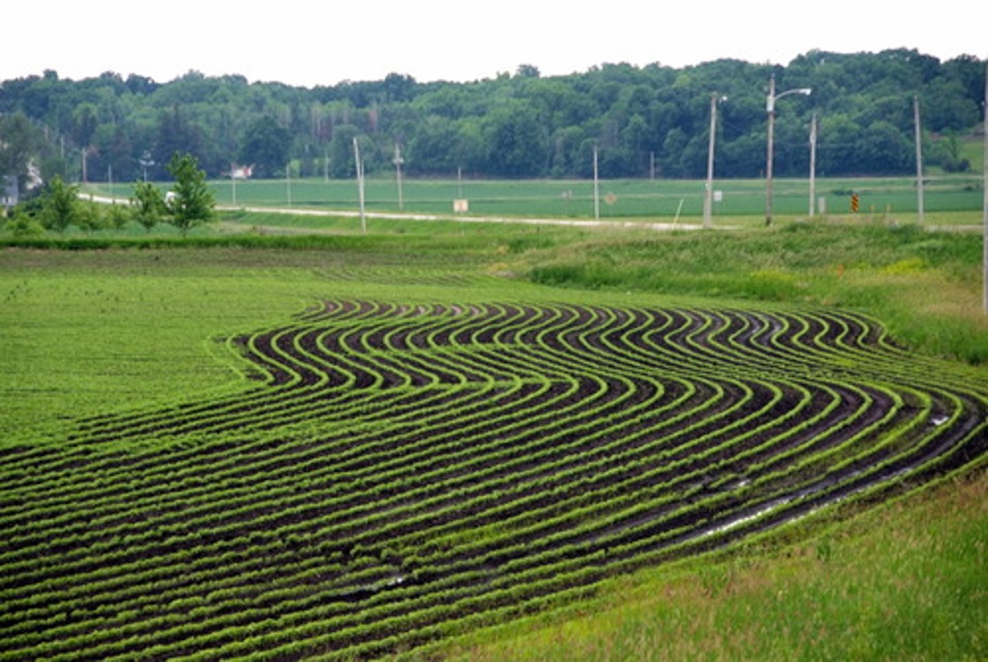 <p>plowing and planting crops in rows across the slope of the land, opposite to the direction of water flow, to reduce soil erosion and water runoff</p>