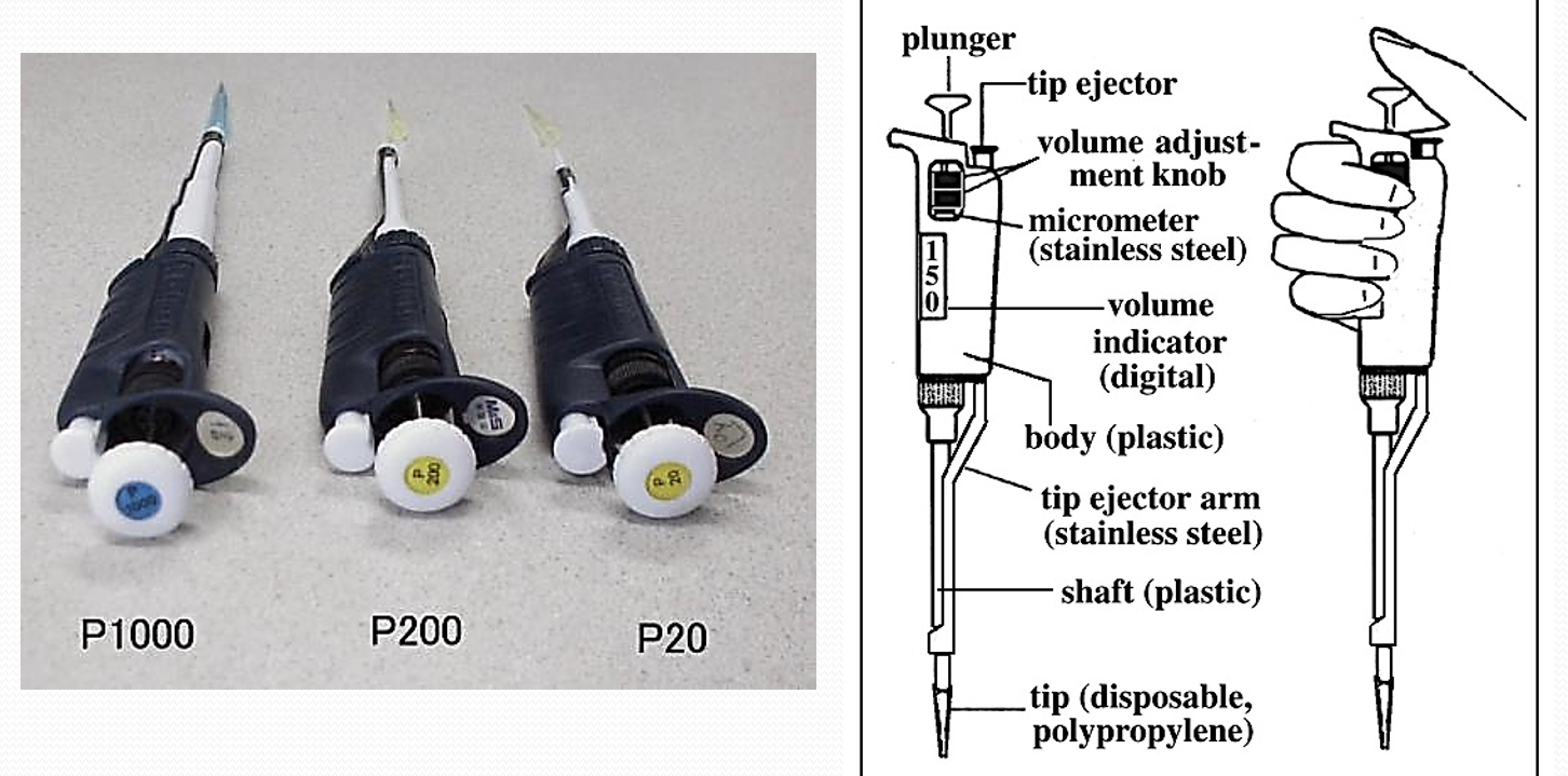 <p>Micropipettors</p>
