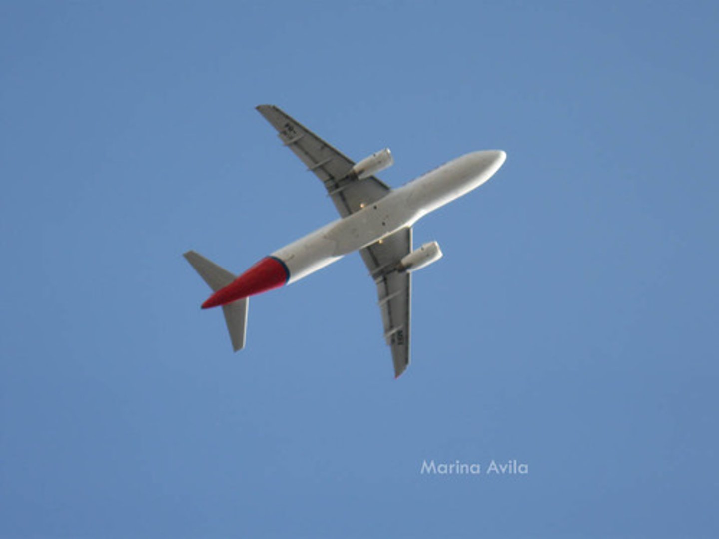 <p>to take a trip</p>