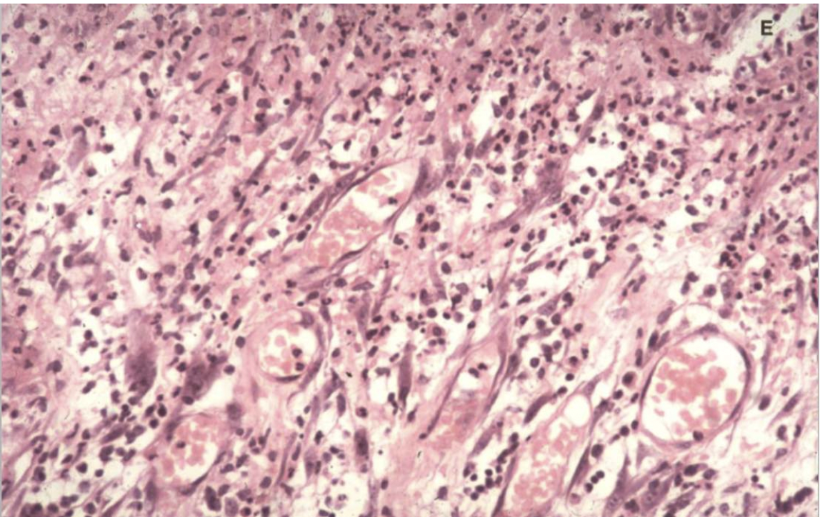 <p>What can you see in this image?</p>