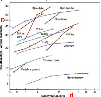 <p>do iso-effect curves describe late effects to have steep slopes or less-steep slopes</p>