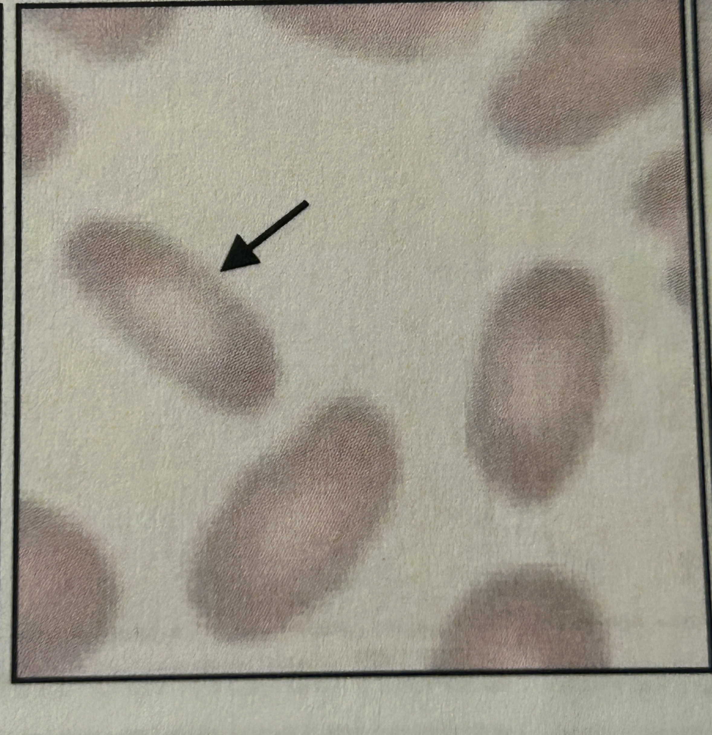 <p>?</p>