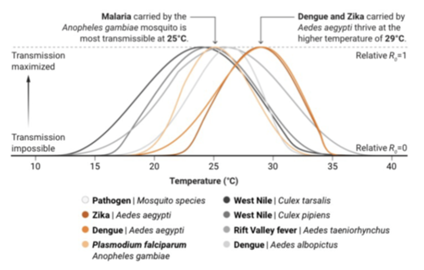 <p>An interdisciplinary approach that recognizes the interconnectedness of human, animal, and environmental health, emphasizing the importance of collaboration between healthcare professionals, veterinarians, scientists, policymakers, and other stakeholders to address health issues that transcend these boundaries</p><p>-zoonotic diseases are spread from animals to humans (i.e. Oropouche virus spread through midges, yellow fever, zika, and malaria from mosquitoes)</p><p>~many zoonotic diseases are temperature dependent bc temperature affects the survival, reproduction, and activity of pathogens, vectors, and host animals, influencing their geographical distribution and transmission dynamics; for ex, mosquitoes are most likely to live and reproduce in the southern US</p>