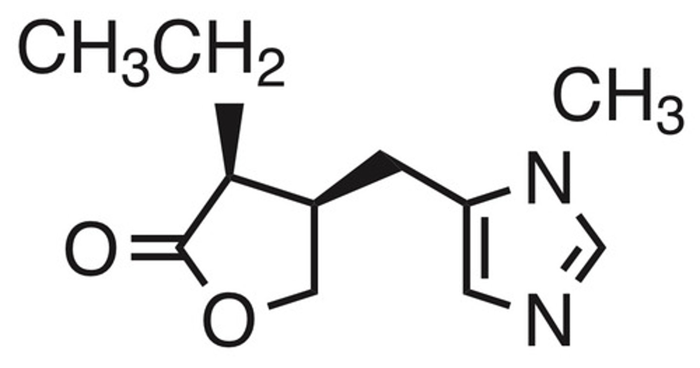 <p>Pilocarpine</p>