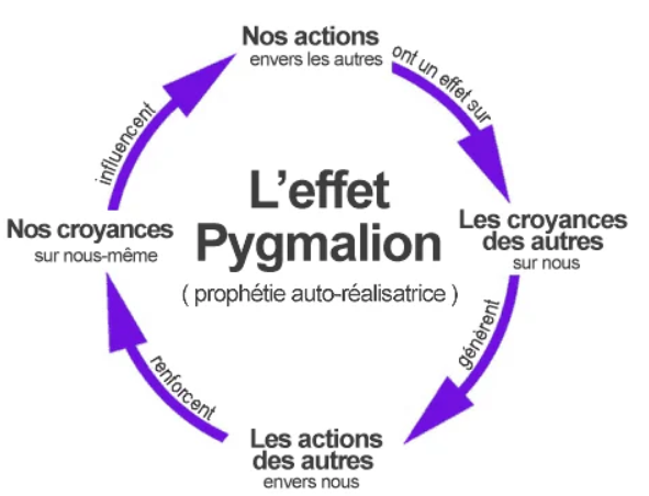 <p>Les attentes et les croyances sur les compétences et le potentiel d’un enfant modifient son évolution scolaire. <strong>MAIS </strong>, l’effet est limité, d’autres facteurs sont à prendre en considération (compétences intrasèques, efforts, etc.)</p><p></p>