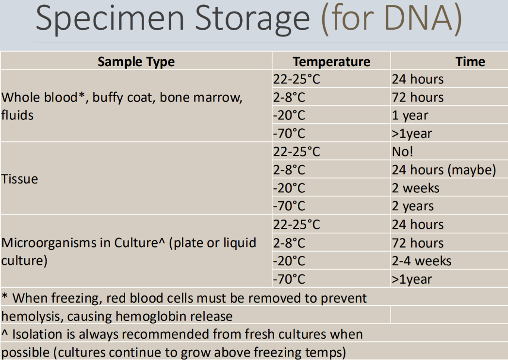 <p><span style="line-height: 18px;"><u>Specimen storage that will be used for DNA...</u>&nbsp;</span></p><ul><li><p class="Paragraph SCXW56470640 BCX0" style="text-align: left;"><span style="line-height: 18px;">Isolation is ALWAYS better from fresh cultures when possible because DNA has a longer longevity&nbsp;</span></p></li></ul><ul><li><p class="Paragraph SCXW56470640 BCX0" style="text-align: left;"><span style="line-height: 18px;">Can't freeze whole blood, if you do, you need to remove RBCs first&nbsp;</span></p><ul><li><p class="Paragraph SCXW56470640 BCX0" style="text-align: left;">because the hemoglobin is a PCR inhibitor</p></li></ul></li></ul><p></p>