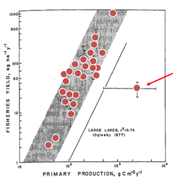 <p>As primary production increases, so does fisheries yield.</p>