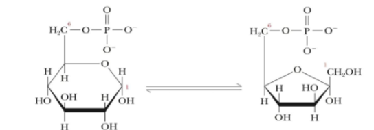 <p>What step is this and what are the products and reactants</p>